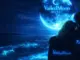 Vailedmoon music - We Still Here Ft. Regvibevault