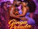 BRUNIUHMUSIC - Ginga Pesada