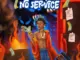 Skyface SDW - NO SERVICE