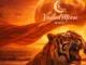 Vailedmoon music - Before The Sunrise