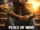 Vibe Yard - Peace of Mind