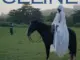 Yarden - Celine