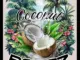 Coconut Rootz - What Makes Us Shine