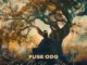 Fuse ODG - Dear Me