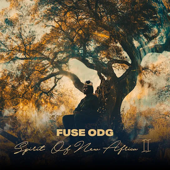 Fuse ODG - Dear Me
