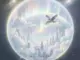 Solpulse - I Fly Freely