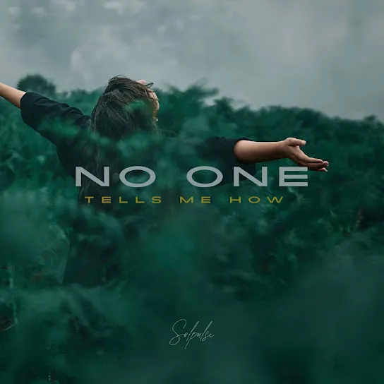 Solpulse - No One Tells Me How