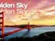 Coconut Rootz - Golden Sky