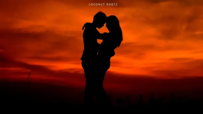 Coconut Rootz - We Were Meant To Last
