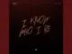 Davido Jazzwrld I Know Who I Be