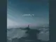 Audio Vibes Alliance Lonely