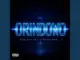 Bhadboi Oml Orindowo Ft Naira Marley