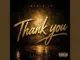 Levelz Up Thank You