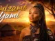 Ndou Advocate - Imizamo Yami