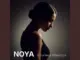 Noya Falling Into Place Feat Adrian Sole Ft Adrian Sole Oliver Wells And Dang Duy Hien