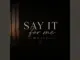 Say It For Me Music I Scream In Silence