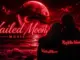 Vailedmoon Music Across Oceans