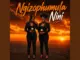 Vsixbeatz - Ngizophumula Nini
