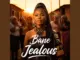 Zaza Moya Music Bane Jealous Feat Ndou Advocate Ft Ndou Advocate