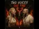 Draugr Balled Two Voices One Fire Epic Viking Song