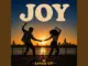 Levelz Up Joy