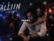 Regvibevault Fallin