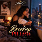 SitonicSA – Breakup Pillow