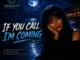 Vailedmoon music - if you call im coming